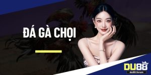 đá gà chọi