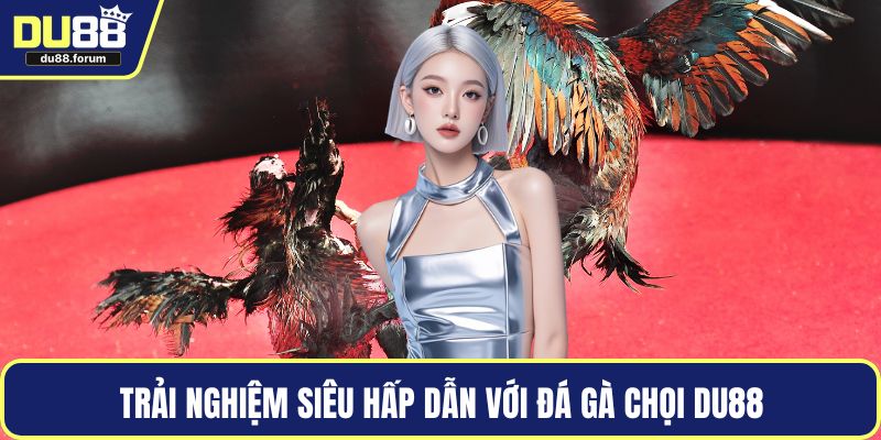 Trải nghiệm siêu hấp dẫn với đá gà chọi DU88